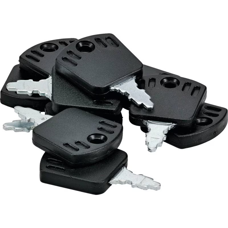 Indak Ignition Keys Briggs & Stratton 1717163SM Pack of 10 (Stens 430-509-10)
