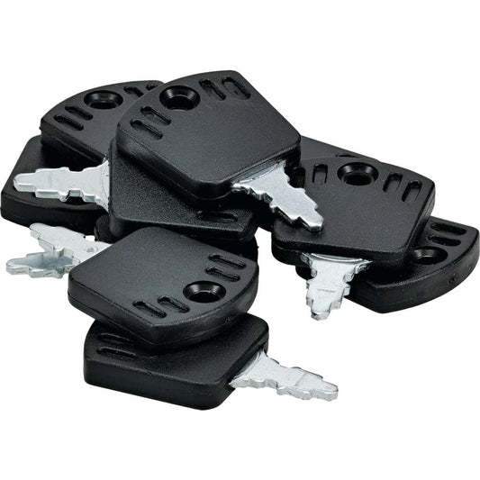 10 Indak Ignition Key Shop Pack Briggs & Stratton 1717163SM (Stens 430-509-10)