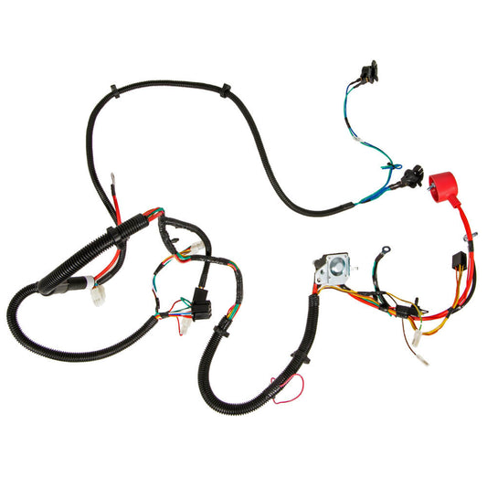 MTD  Main Harness - 725P04432P