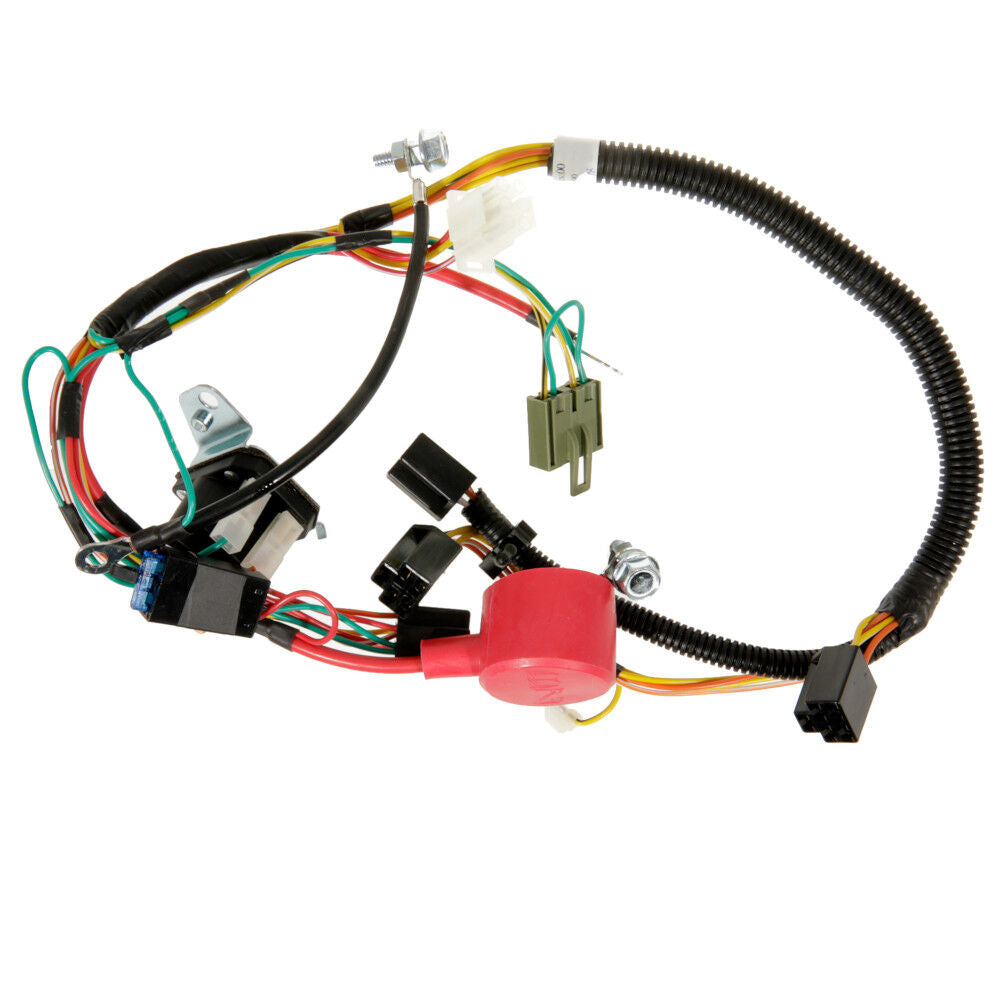 MTD  Wire Harness Assembly - 725P06273A