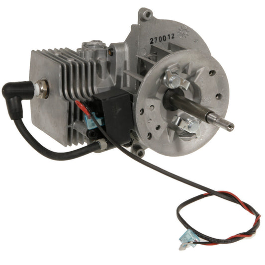 MTD  Short Block 25CC - 841P014182S