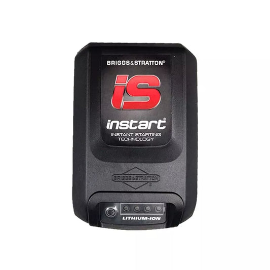 Briggs & Stratton Battery (597187)