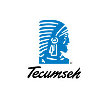 OEM Tecumseh Riding Mower Set of Two Brake Pads for PP11536 (799021)