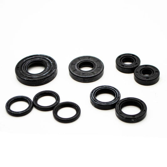 Hydro Gear Riding Mower Seal Kit (70312)