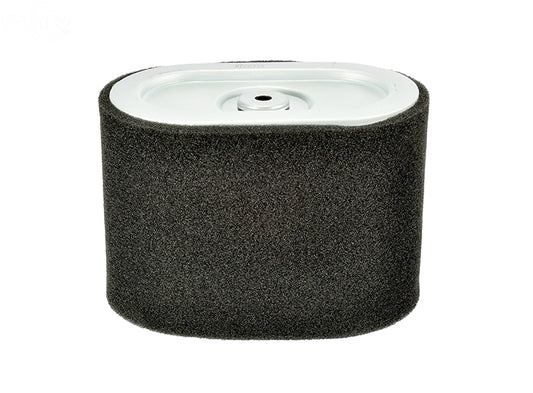 Air Filter Combo For Briggs & Stratton Rotary (11955)
