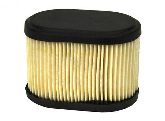 Air Filter For Briggs & Stratton Rotary (12080)
