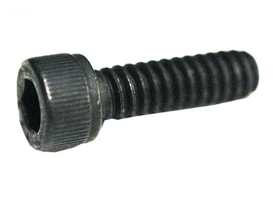 Pack of 10 Socket Screw 10-24 X 5/8" Poulan 015201 Rotary (3256)
