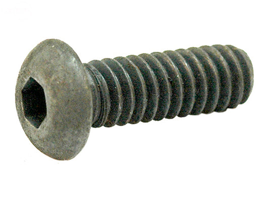 Pack of 10 Scraper Bar Bolts Snow Blower Rotary (5517)