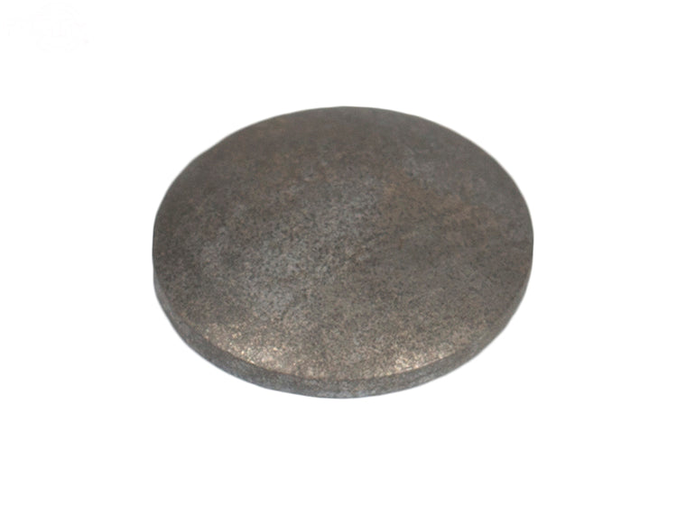 Pack of 10 Welch Plugs Walbro Rotary (8123)