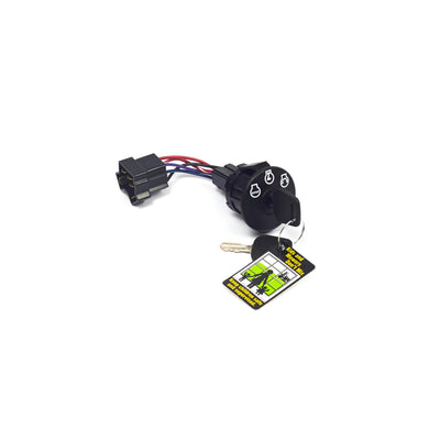 Briggs & Stratton Ignition Switch Kit (7600215YP)