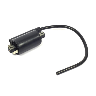 Briggs & Stratton Ignition Coil (820037)