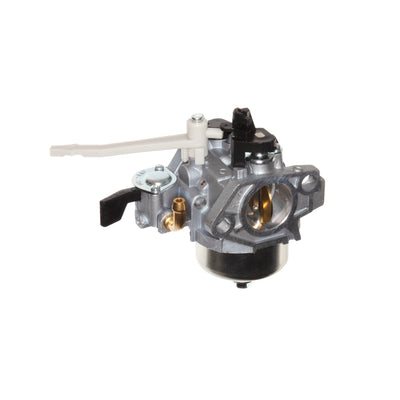 Briggs & Stratton Carburetor (799882)