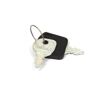 Briggs & Stratton Ignition Key Indak (1717163SM)