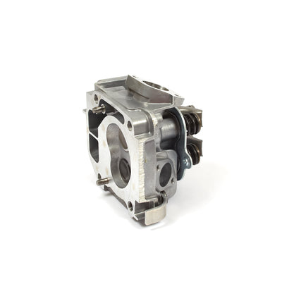 Briggs & Stratton Cylinder Head (557133)