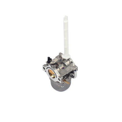 Briggs & Stratton Carburetor (796122)