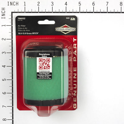Briggs & Stratton Air Filter With Pre-Cleaner (5429K)