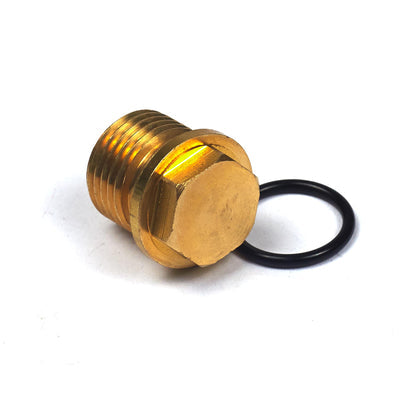 Briggs & Stratton Pump Plug (201495GS)