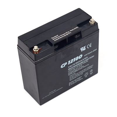 Briggs & Stratton Battery (193463GS)