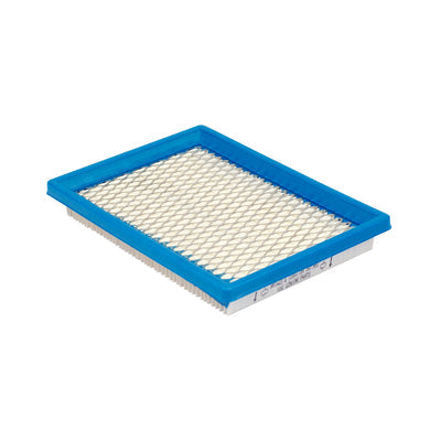 Briggs & Stratton Air Filter (5 X 397795S) (4102)