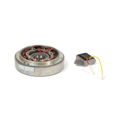 Briggs & Stratton Kit-Flywheel/Stator (555773)