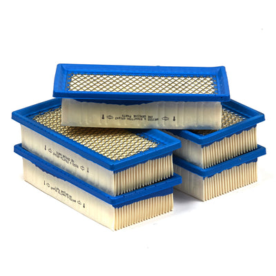 Briggs & Stratton Air Filter (5 X 691643) (4195)