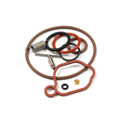 Briggs & Stratton Carburetor Overhaul Kit (590589)