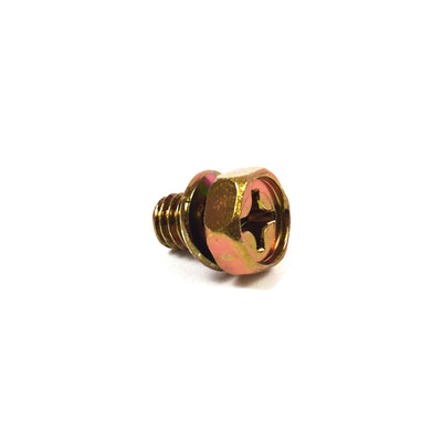 Briggs & Stratton Screw (691982)
