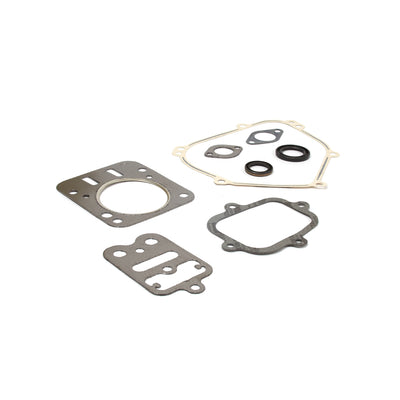 Briggs & Stratton Engine Gasket Set (557110)