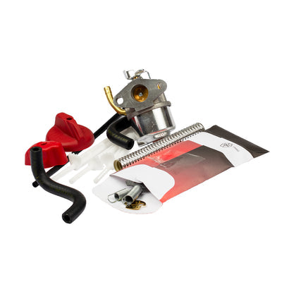 Briggs & Stratton Carburetor (798917)
