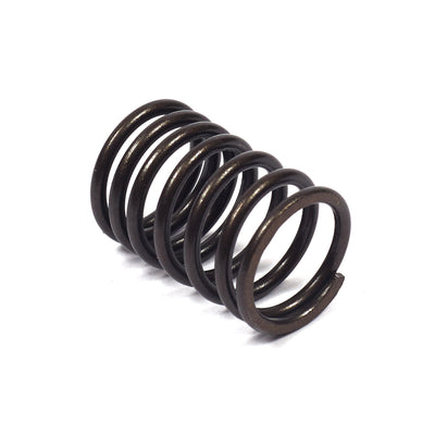 Briggs & Stratton Valve Spring (690520)