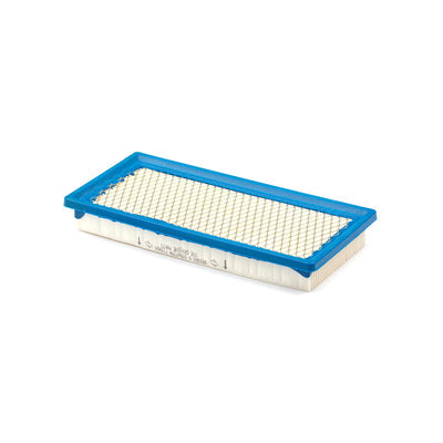 Briggs & Stratton Air Cleaner Filter Cartridge (710266)