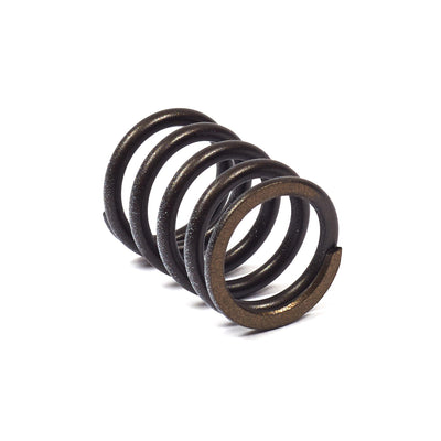 Briggs & Stratton Valve Spring (820406)