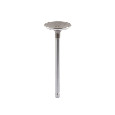 Briggs & Stratton Intake Valve (84013569 )