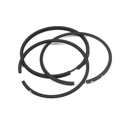 Briggs & Stratton Std Ring Set (394959)