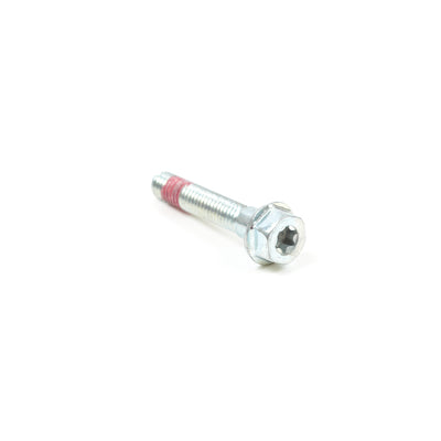 Briggs & Stratton Screw (699484)