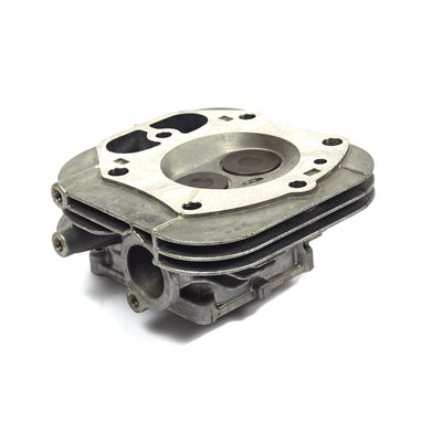 Briggs & Stratton Cylinder Head (84010829)