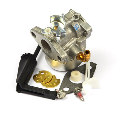 Briggs & Stratton Carburetor (798653)