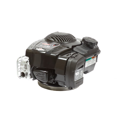 Briggs & Stratton Engine (104M02-0196-F1)