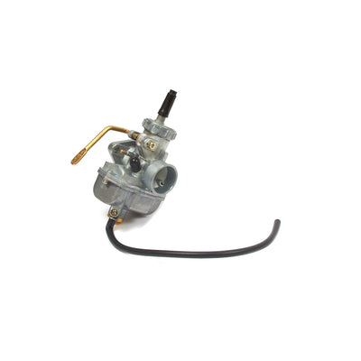 Briggs & Stratton Carburetor (555658)