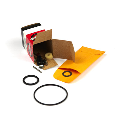 Briggs & Stratton Carburetor Overhaul Kit (494349)