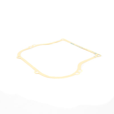 Briggs & Stratton Crankcase Gasket (270125)