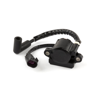 Briggs & Stratton Ignition Coil (593856)