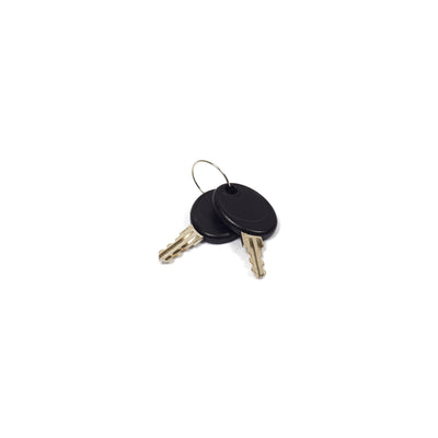 Briggs & Stratton Latch Key (207652GS)