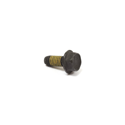 Briggs & Stratton Screw (699479)