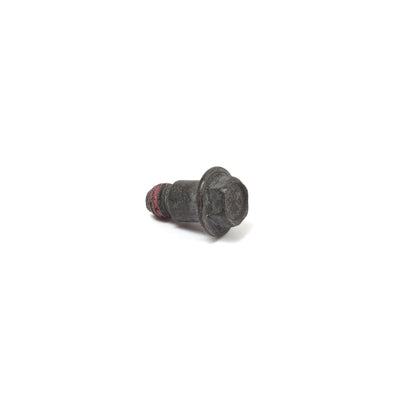 Briggs & Stratton Screw (699201)