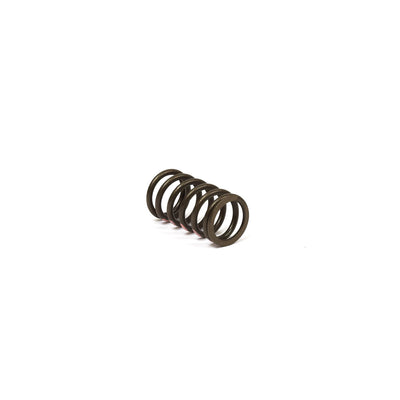 Briggs & Stratton Valve Spring (845589)