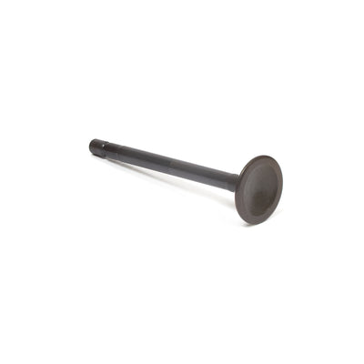 Briggs & Stratton Exhaust Valve (555552)