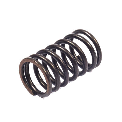 Briggs & Stratton Valve Spring (692180)