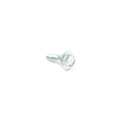 Briggs & Stratton Screw (799370)