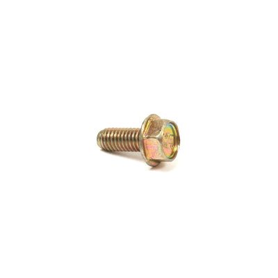 Briggs & Stratton Screw (699230)
